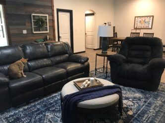 Gorgeous remodeled living room with a cat sitting on a black leather couch